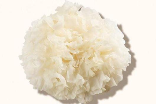 Tremella Mushroom