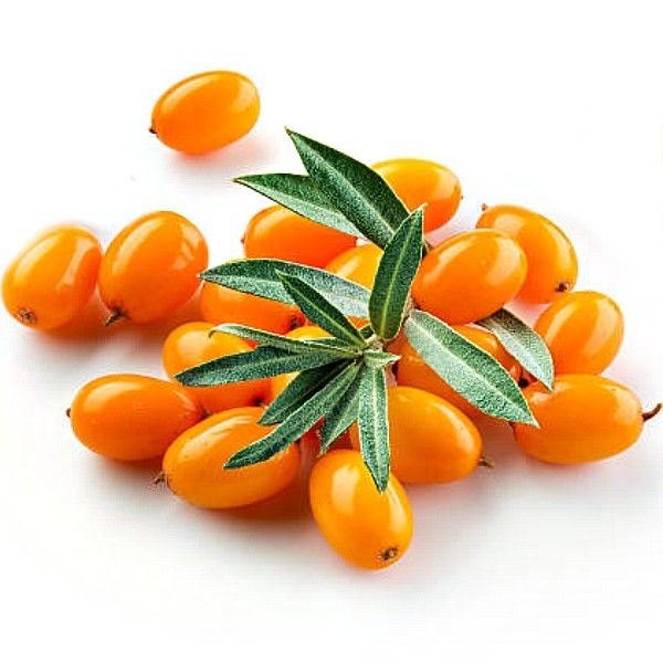 Seabuckthorn Benefits: The Golden Elixir for Skin - Holistik Skincare 