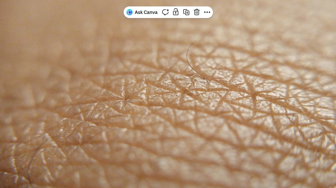 What Affects Skin Aging: What You Can Control - Holistik Skincare 