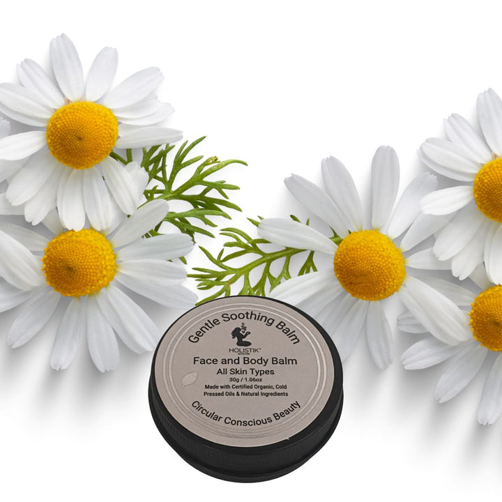 Balm container with chamomile flowers on a white background