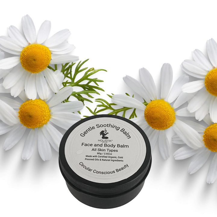 Balm container with chamomile flowers on white background