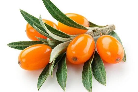Seabuckthorn Seed Infused Oil 94% Cosmos Certified Organic - Holistik Skincare 